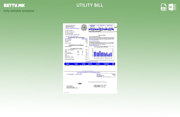 Модерен стил на шаблон за верзија на сметки за комунални сметки на округот Коб в